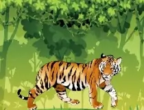 Angry Tiger Colori...