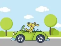 Animal Happy Drive Coloring