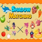 Shadow Matching Kids Lea...