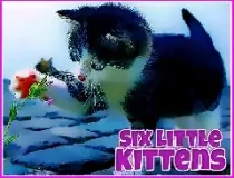 Six Little Kittens